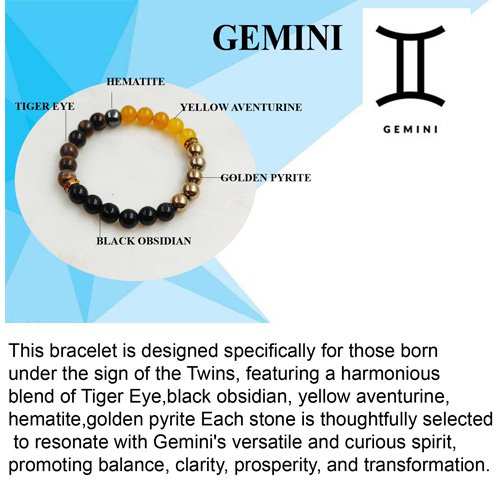 gemini pic 3